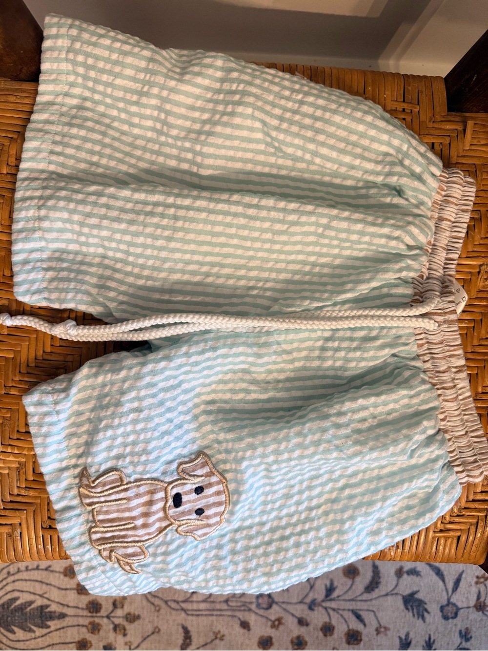 Light Blue Striped Kids Swim Trunks with Dog Appliqué